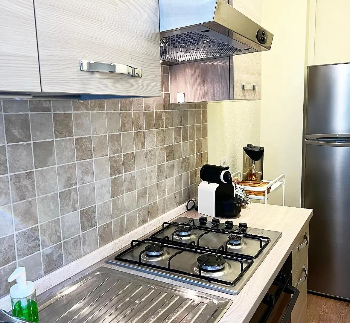 Lawyer House Milan Apartment Italy